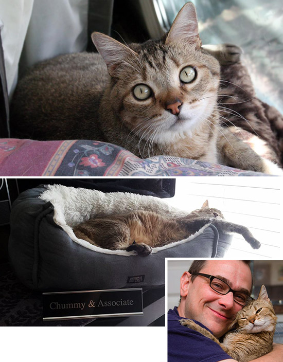 Chummy... The Digital Bits Employee of the Month