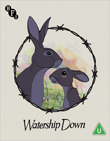 Watership Down (UK 4K Ultra HD)