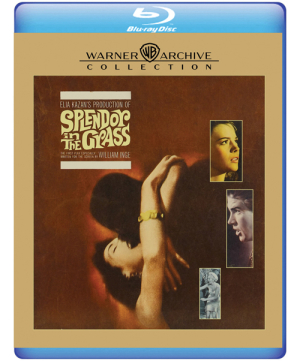 Splendor in the Grass (Blu-ray Disc)