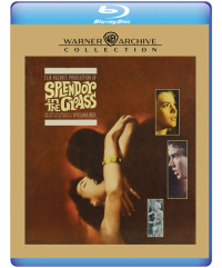 Splendor in the Grass (Blu-ray Disc)