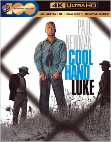 Cool Hand Luke (4K UHD Review)